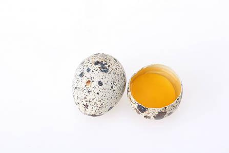 宝宝坐便器如何处理