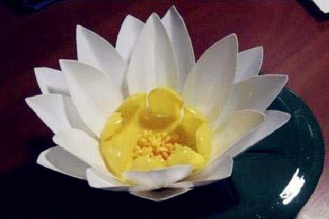 塑料瓶莲花制作过程