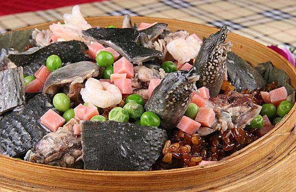 甲鱼的功效与作用