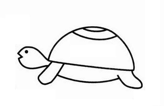 小乌龟简笔画步骤