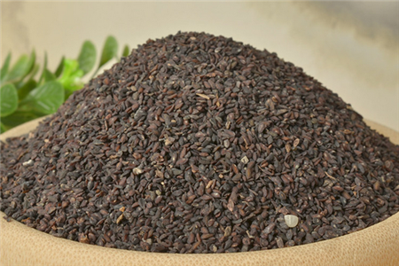 车前子与车前草的区别