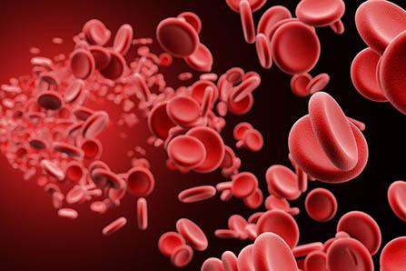 鳗鱼怎么做好吃