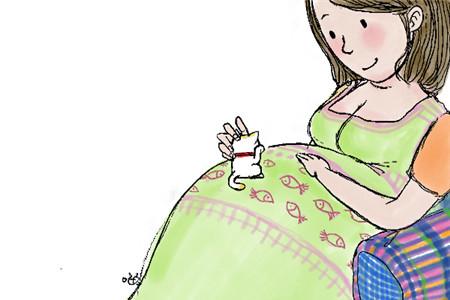 孕妇得了弓形虫怎么办