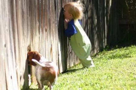 深度解读——孩子的“秩序敏感期”