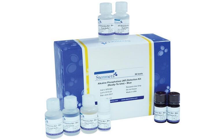 碱性磷酸酶是什么意思