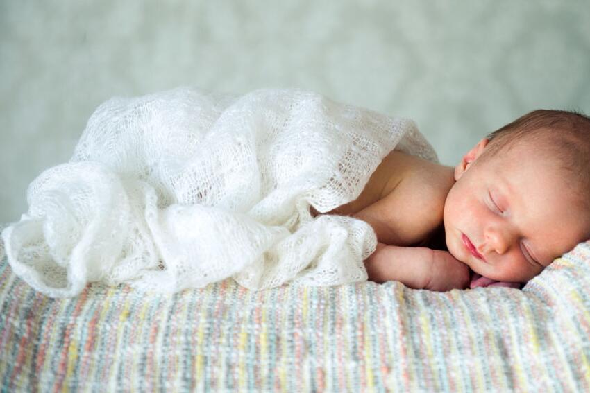 惊蛰出生的鸡宝宝好吗