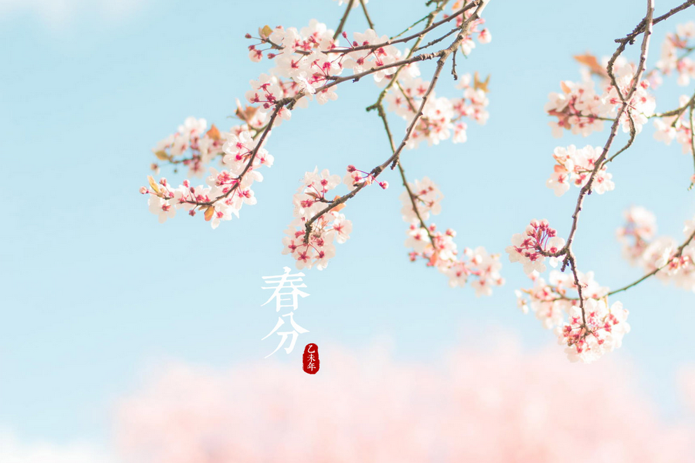 2017年春分出生的鸡宝宝好不好