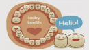 乳牙的生长历程及其护理