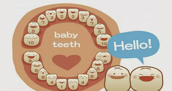 乳牙的生长历程及其护理