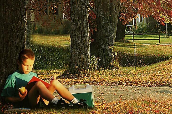 关于秋天的绘本