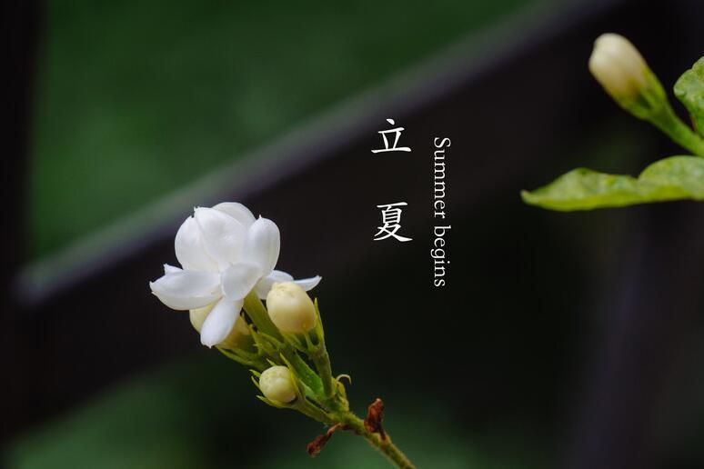 2017立夏出生的鸡宝宝好吗