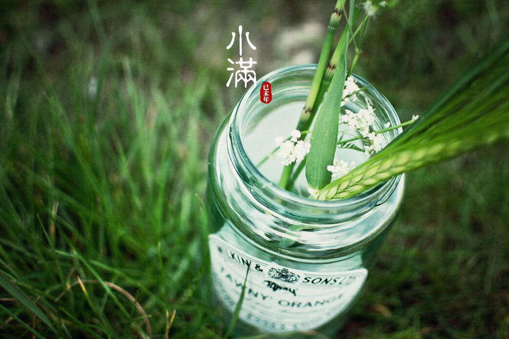 2017小满出生的鸡宝宝好不好