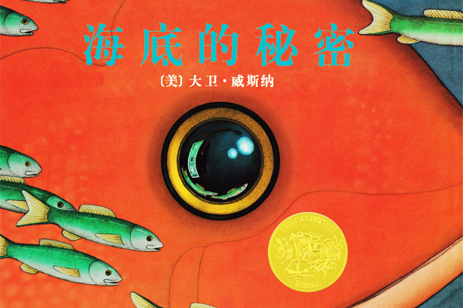 海底的秘密绘本