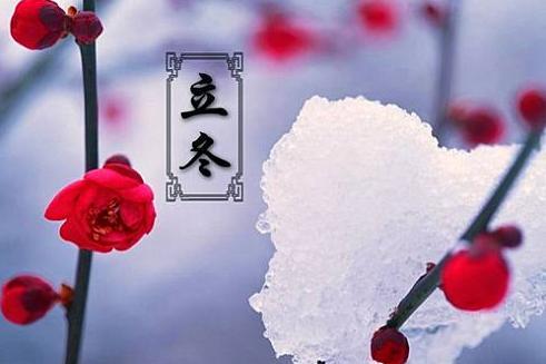 2017的立冬是几月几日