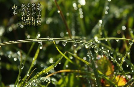 2017年雨水几点