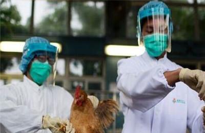 四川H7N9流感患者增至6人 国家卫计委派出专家组