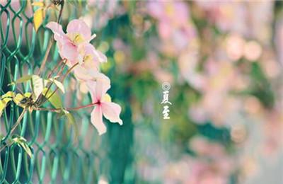 2017年夏至是哪天