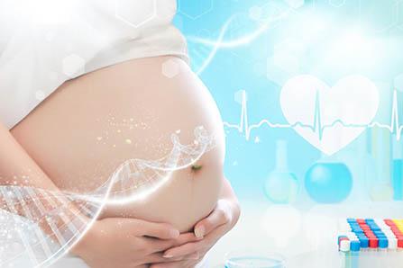 更年期能吃阿胶吗