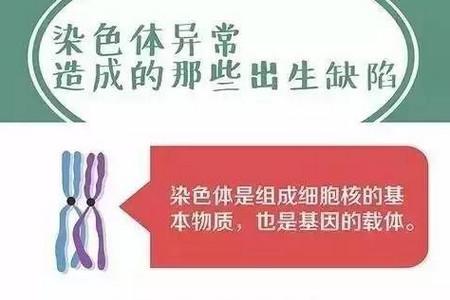 染色体异常可以造成这么多出生缺陷！