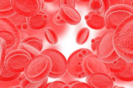 小班手工亲子活动方案