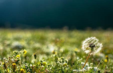 羊水少每天应该喝多少水