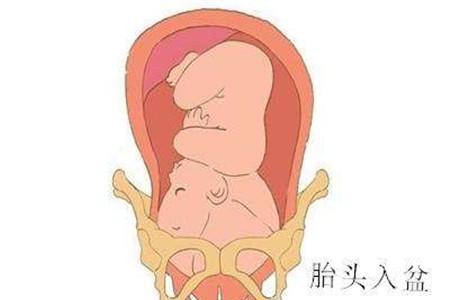 经产妇入盆后多久会生