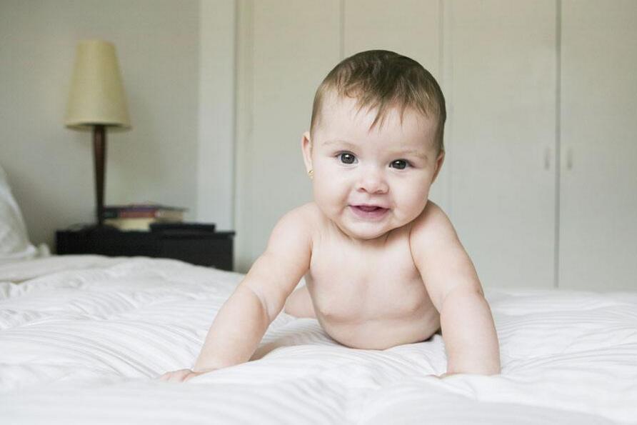 夏至的鸡宝宝怎么样