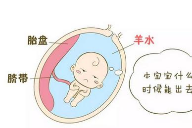 羊水尿液傻傻分不清？别都破水了还以为是尿频
