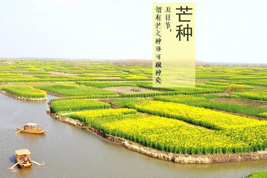 芒种出生的孩子好吗