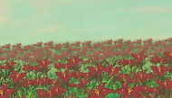 杜甫《春夜喜雨》赏析