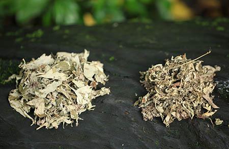 精忠岳飞的故事