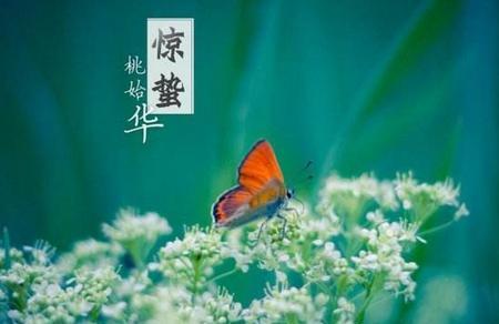 二十四节气惊蛰手抄报