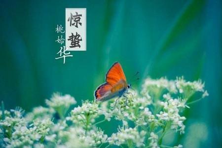 二十四节气惊蛰手抄报