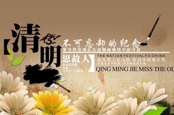 清明上坟用什么花