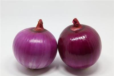 洋葱宝宝可以吃吗