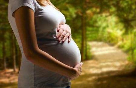 孕妈妈养好胎，补充蛋白质很重要！