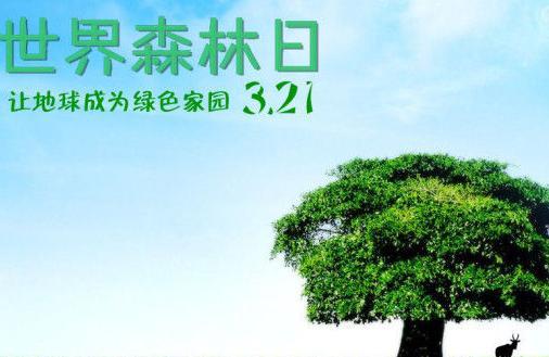 2017年世界森林日是几月几日