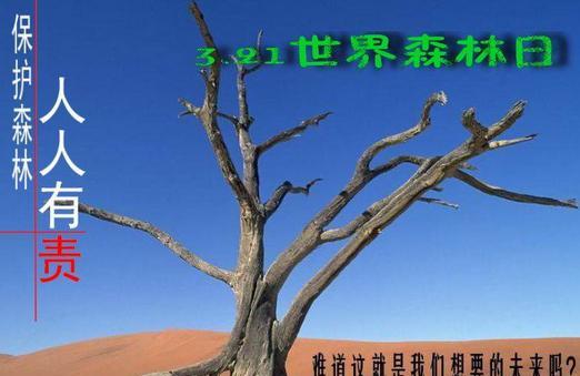 世界森林日黑板报