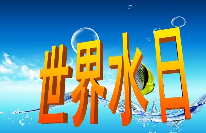 2017年世界水日宣传活动策划书