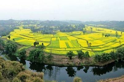 2017成都春游看花景点有哪些