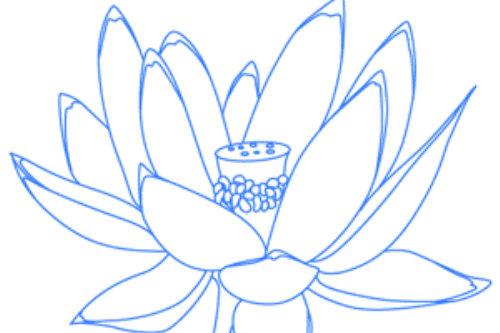 莲花简笔画步骤图解