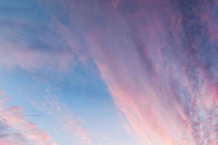 爱乐维吃到什么时候