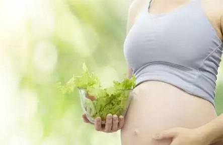 它叫“皇帝菜“, 高营养, 名不虚传! 孕妈你吃了吗?