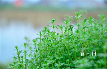 春天为什么老是下雨