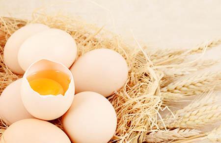 飞鹤超级飞帆臻爱倍护多少钱