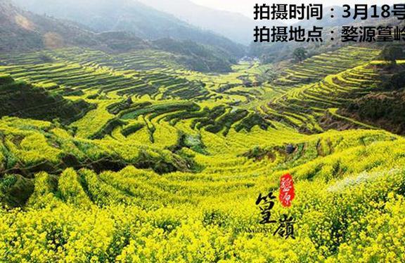 2017婺源油菜花什么时候开