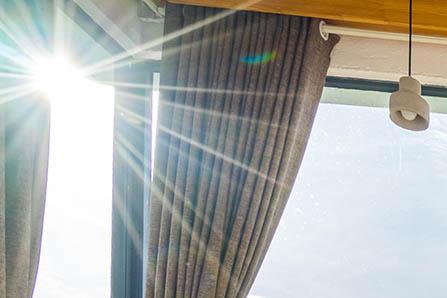 小马和小猫去旅行的故事