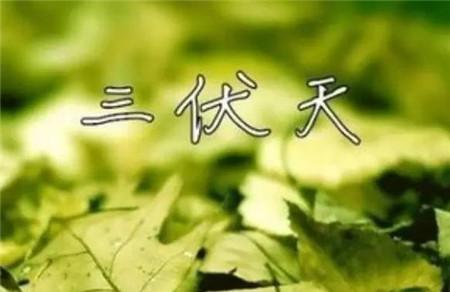 2017年三伏天从什么时候开始