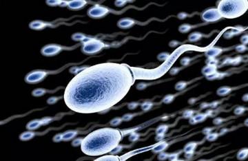 精子变弱？看看你犯了啥错！