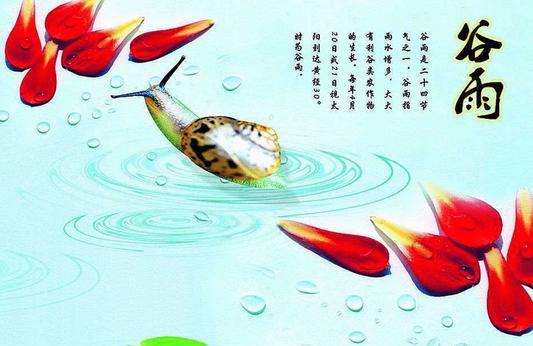 谷雨养生运动有哪些